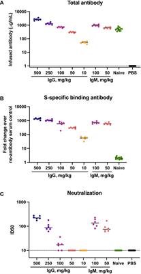 Convalescent human IgG, but not IgM, from COVID-19 survivors confers dose-dependent protection against SARS-CoV-2 replication and disease in hamsters